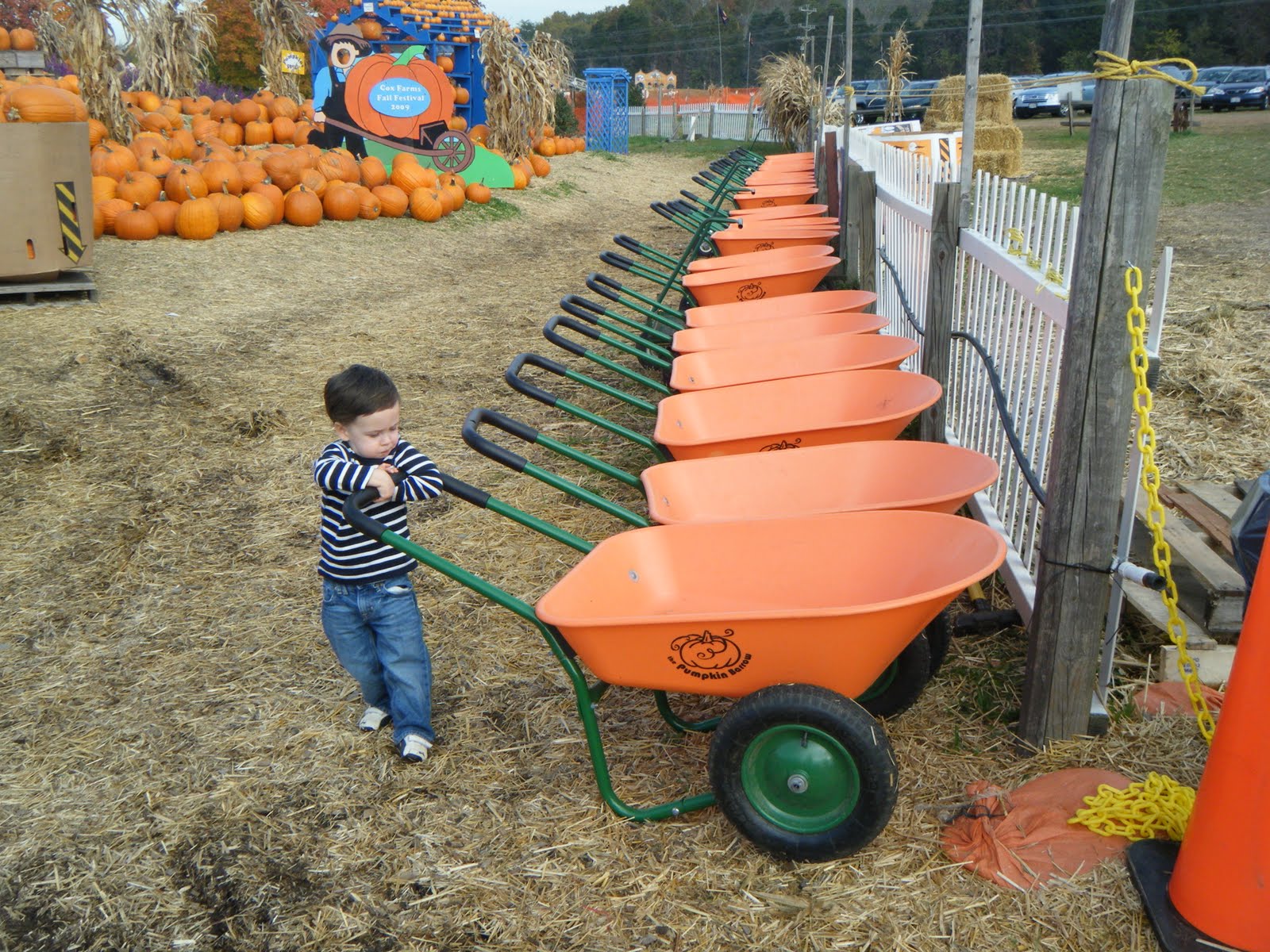 [DSCF3863.JPG]
