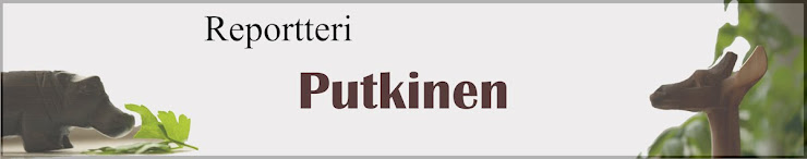 Kirpputori, Turku - Kirppis-Center Länsikeskus ja Manhattan