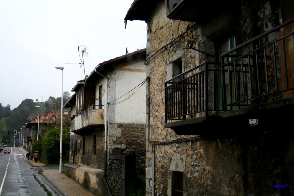 [IMG_1950.JPG]