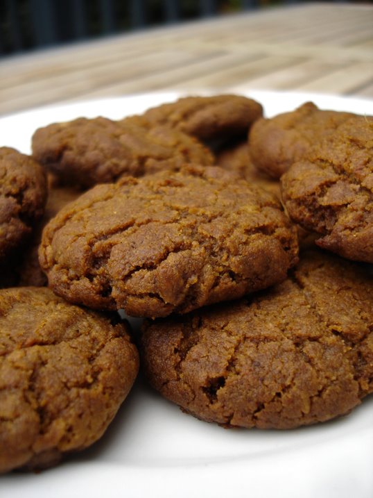 [squashedginger.jpg]