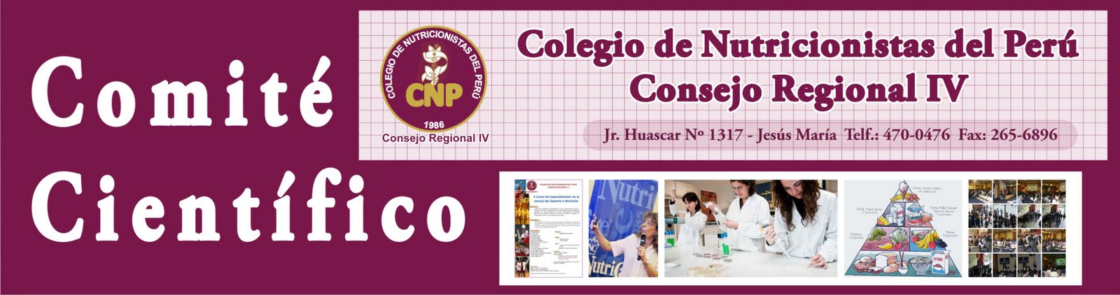 CONSEJO REGIONAL IV - CNP - COMITE CIENTIFICO