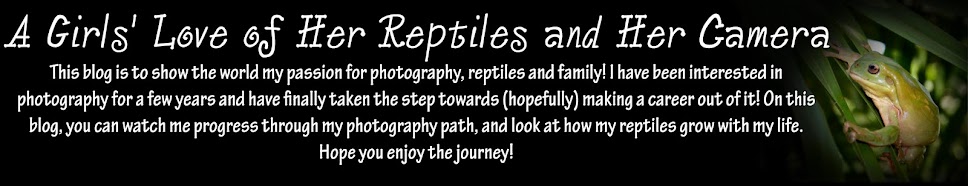 A girls' love of her reptiles and her camera