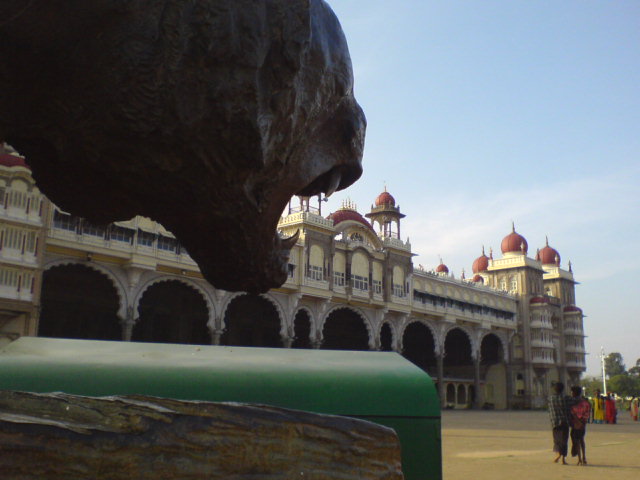 [DSC01411.JPG]