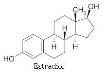 [estradiol.JPG]
