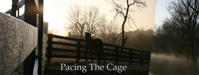 Pacing The Cage