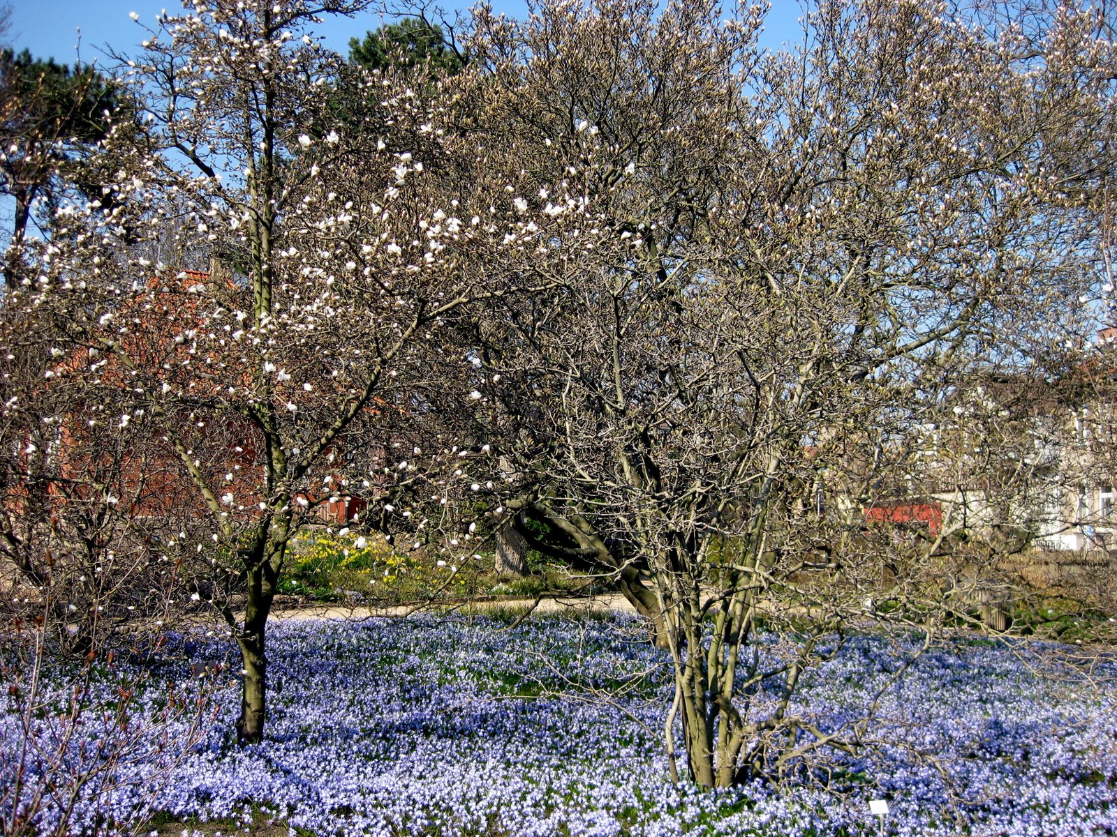 [IMG_0248.JPG]