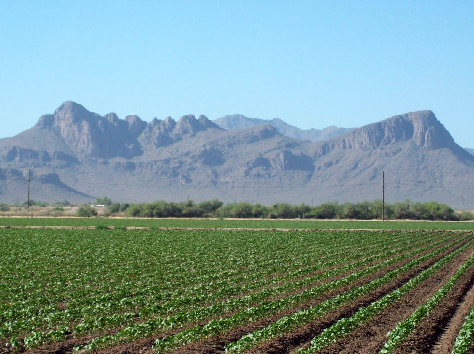 Two Feet Forward Arizona Farmland & Mountains
