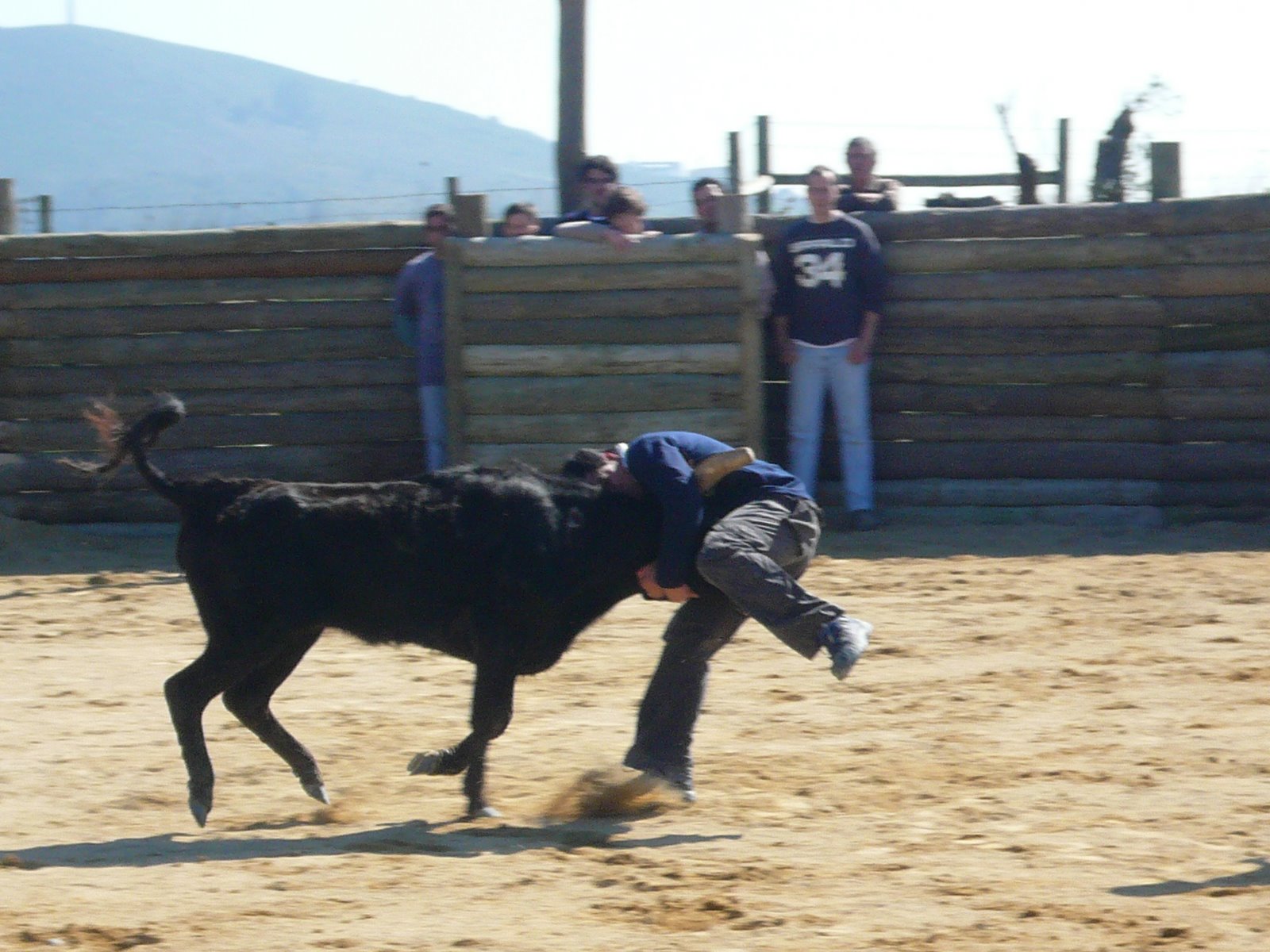 [P1020010.JPG]