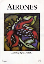 <i>Airones</i> 1995