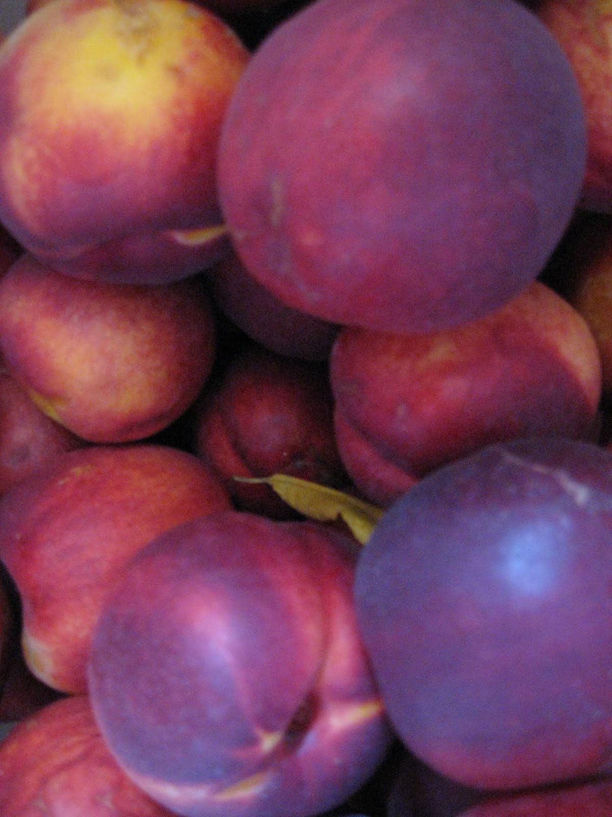 Reclaiming My Inner Pioneer Drying Nectarines