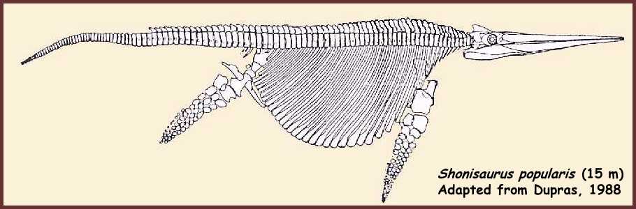 [shonisaurus+1.JPG]