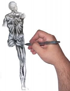 Sketching Inspiration