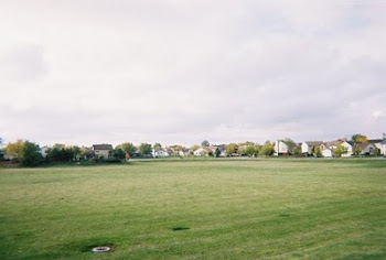 A Field