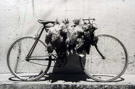 [giturbide_elviaje.jpg]