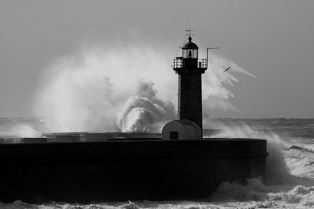 [IMG_8925+-+Copy.JPG]