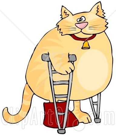 Cat Cast