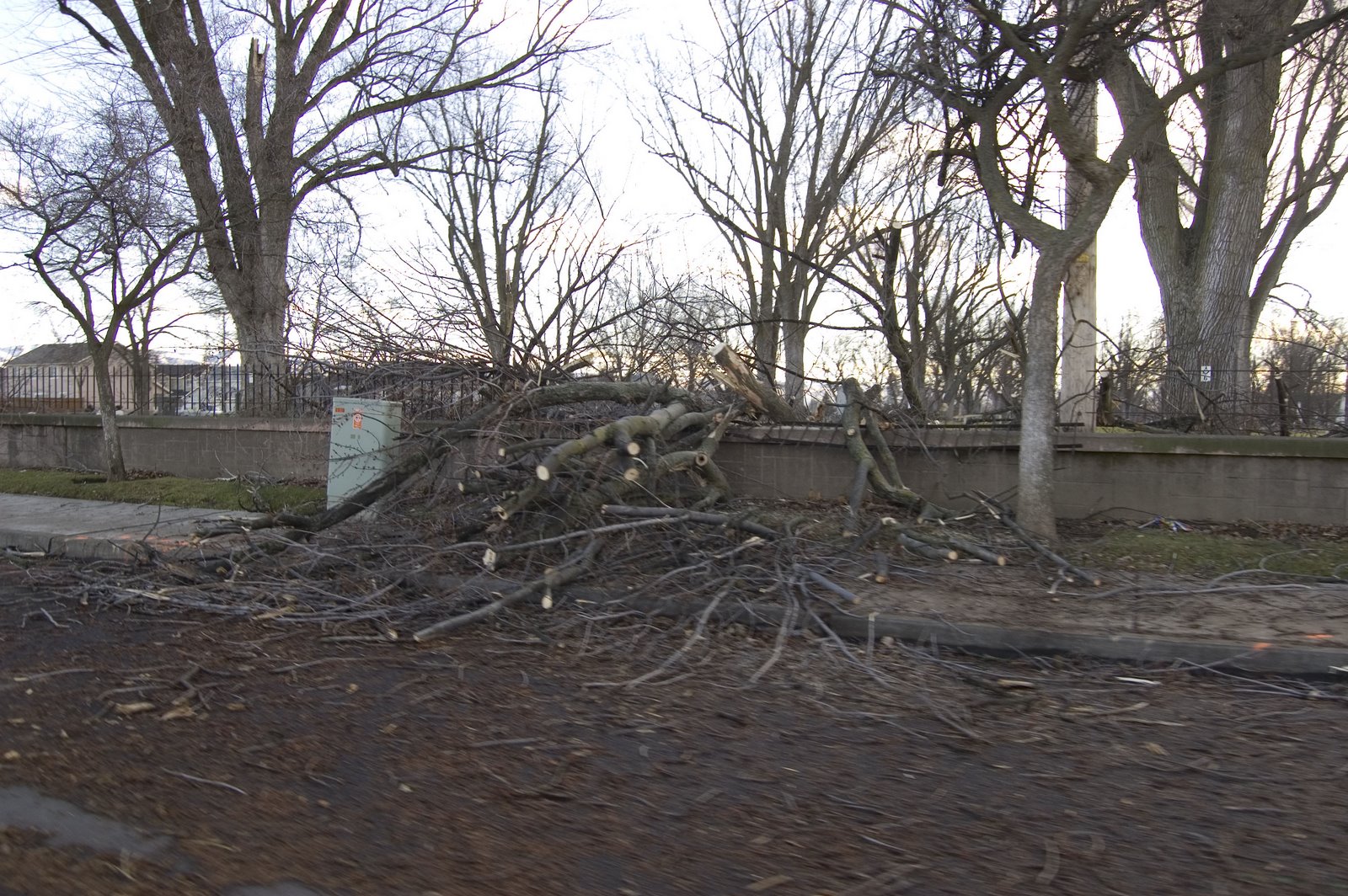 [cemeterypoststorm3.jpg]