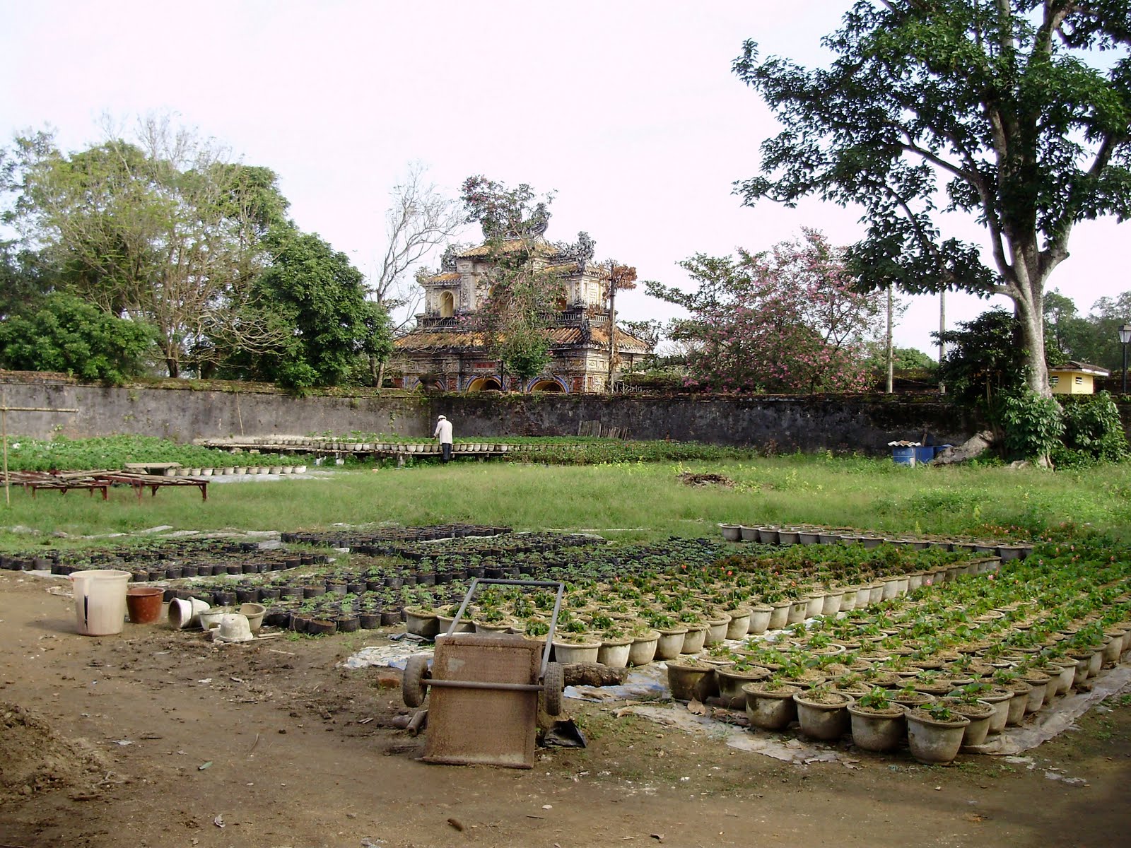 [PC100790.jpg]