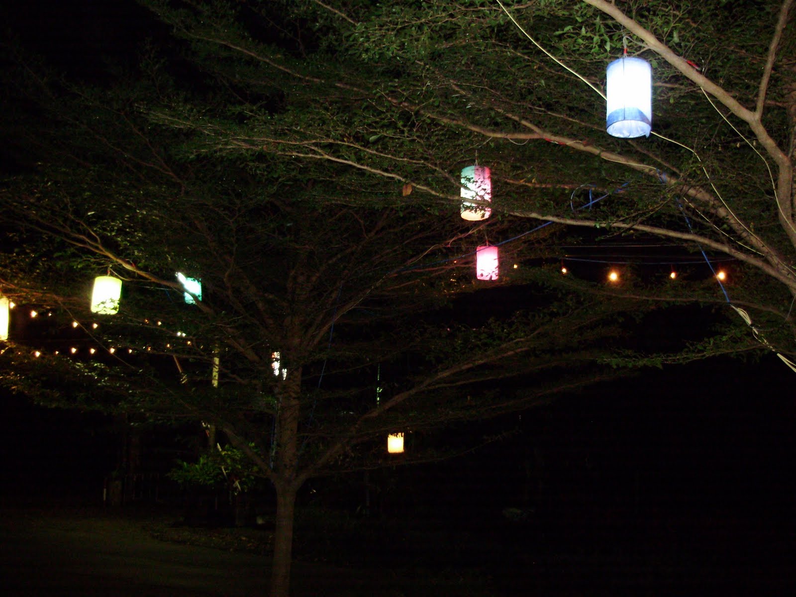 [PC280384.jpg]