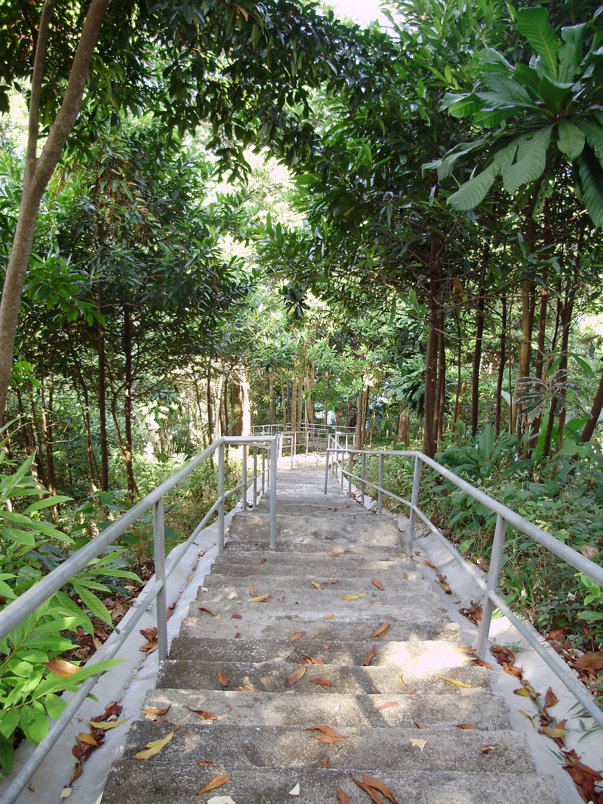 [PC250152.jpg]