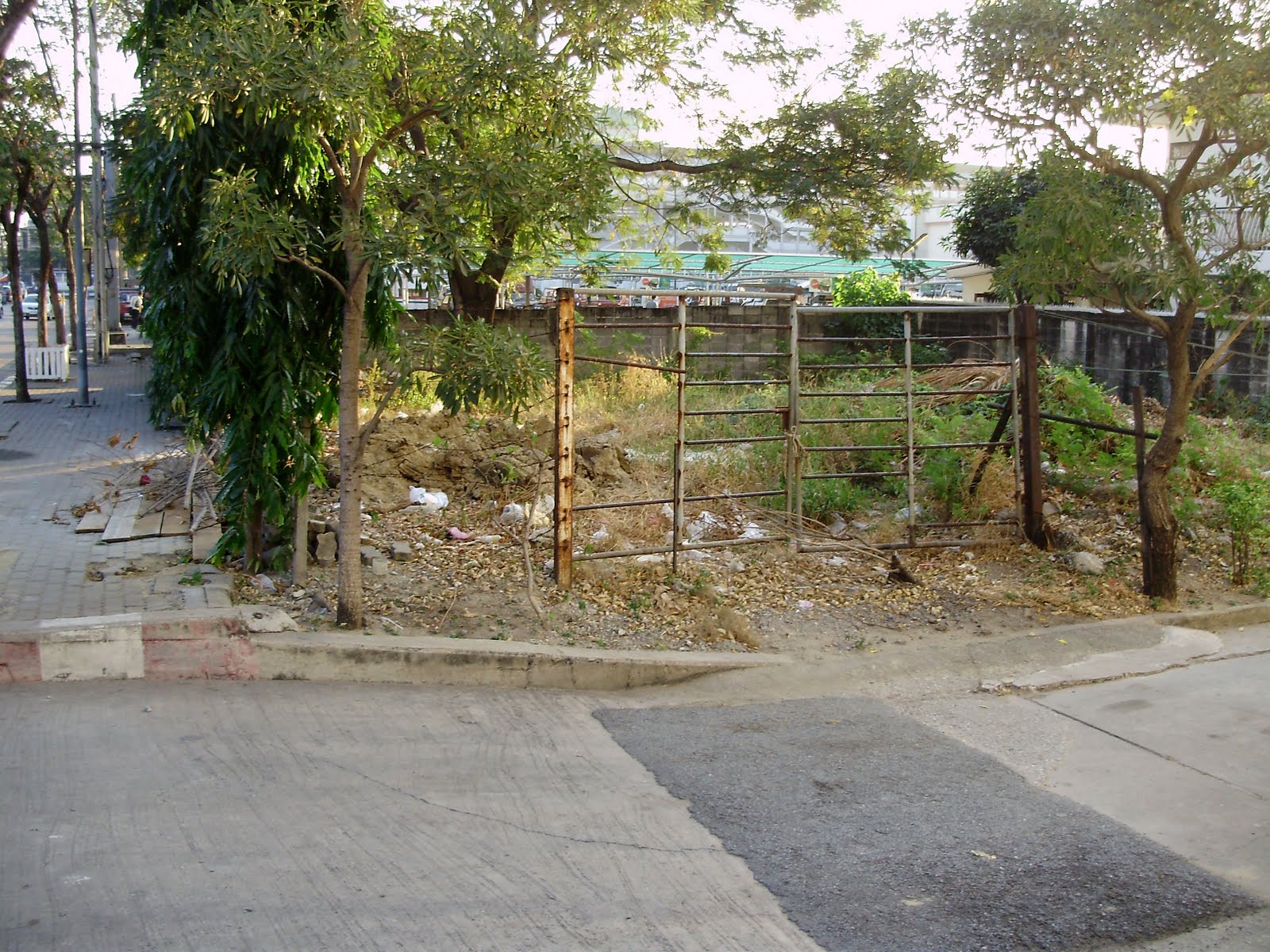 [PC200031.jpg]