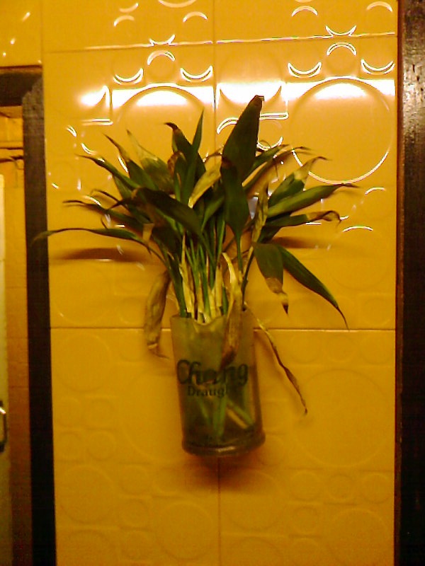 [Photo-0155.jpg]