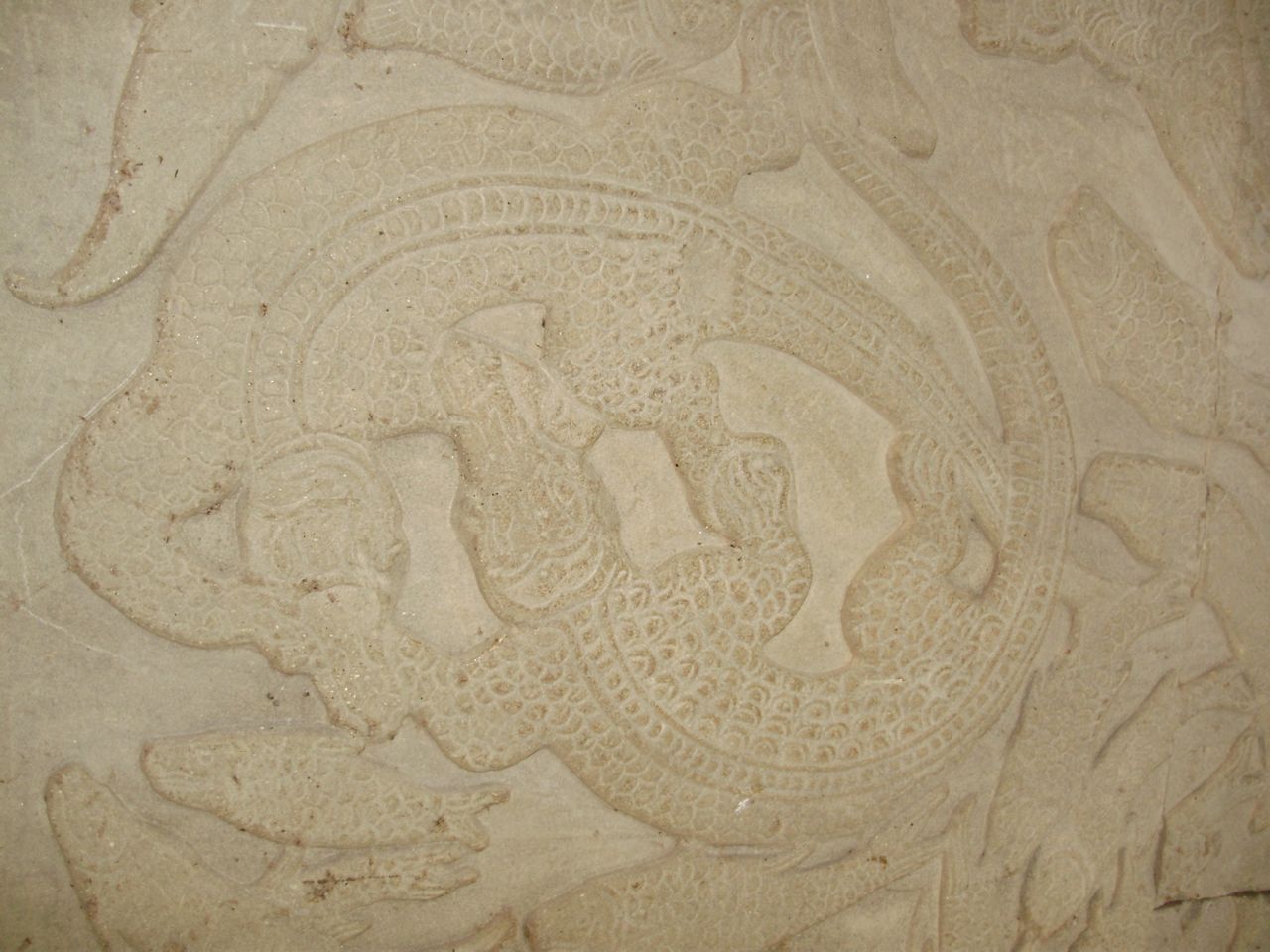 [P4100134.jpg]