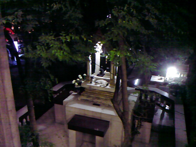 [Photo-0185.jpg]