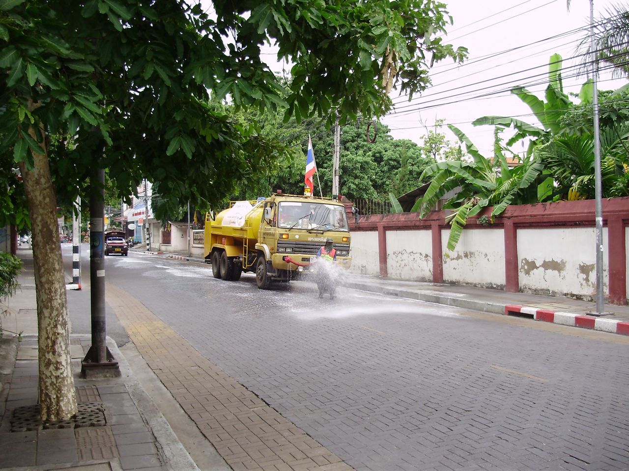 [P6270076.jpg]