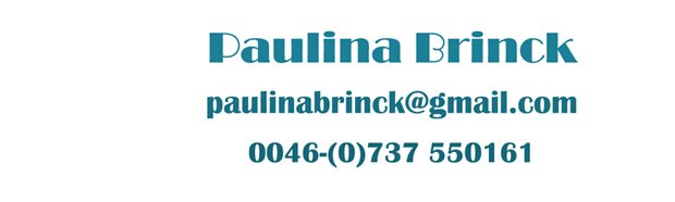 Paulina Brinck Portfolio