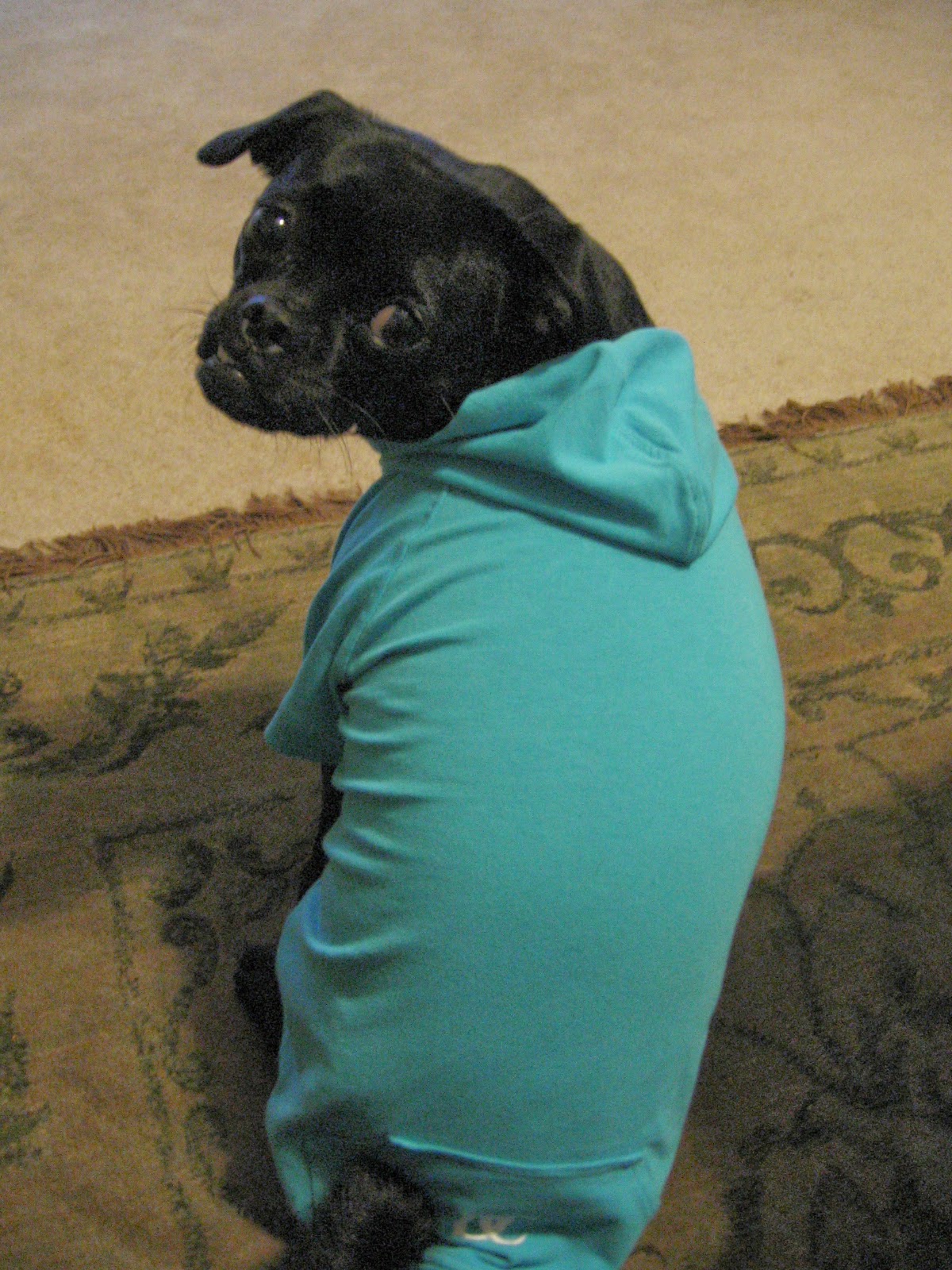 [Coco+12-1-07+026.jpg]