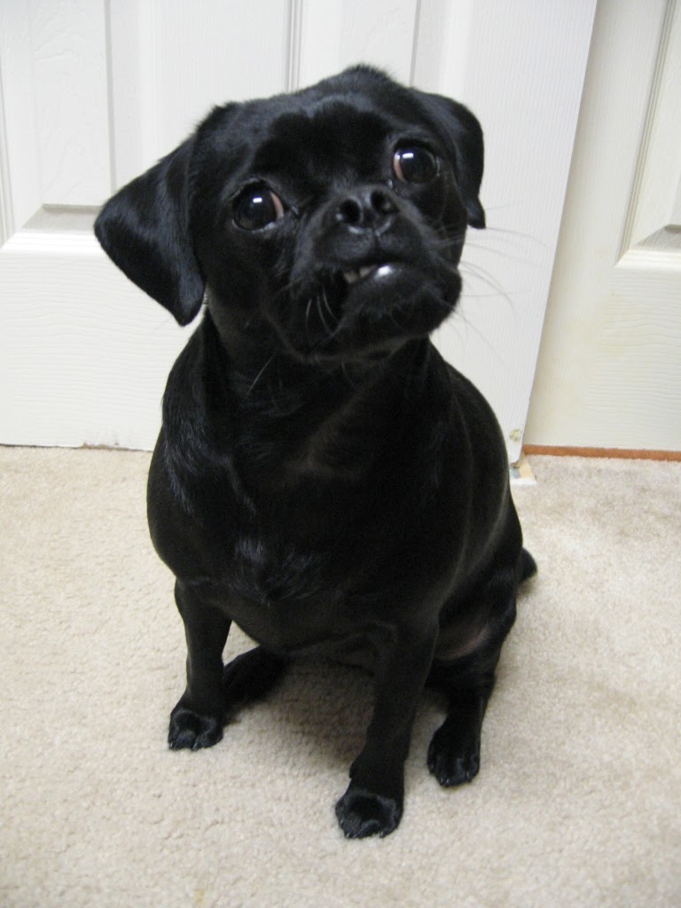 [Coco+12-6-07+010.jpg]