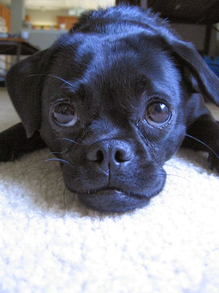 [CoCo+5-11-08+027.jpg]