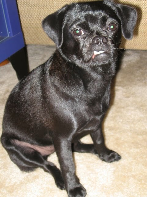 [Coco+4-1-07+(51).JPG]