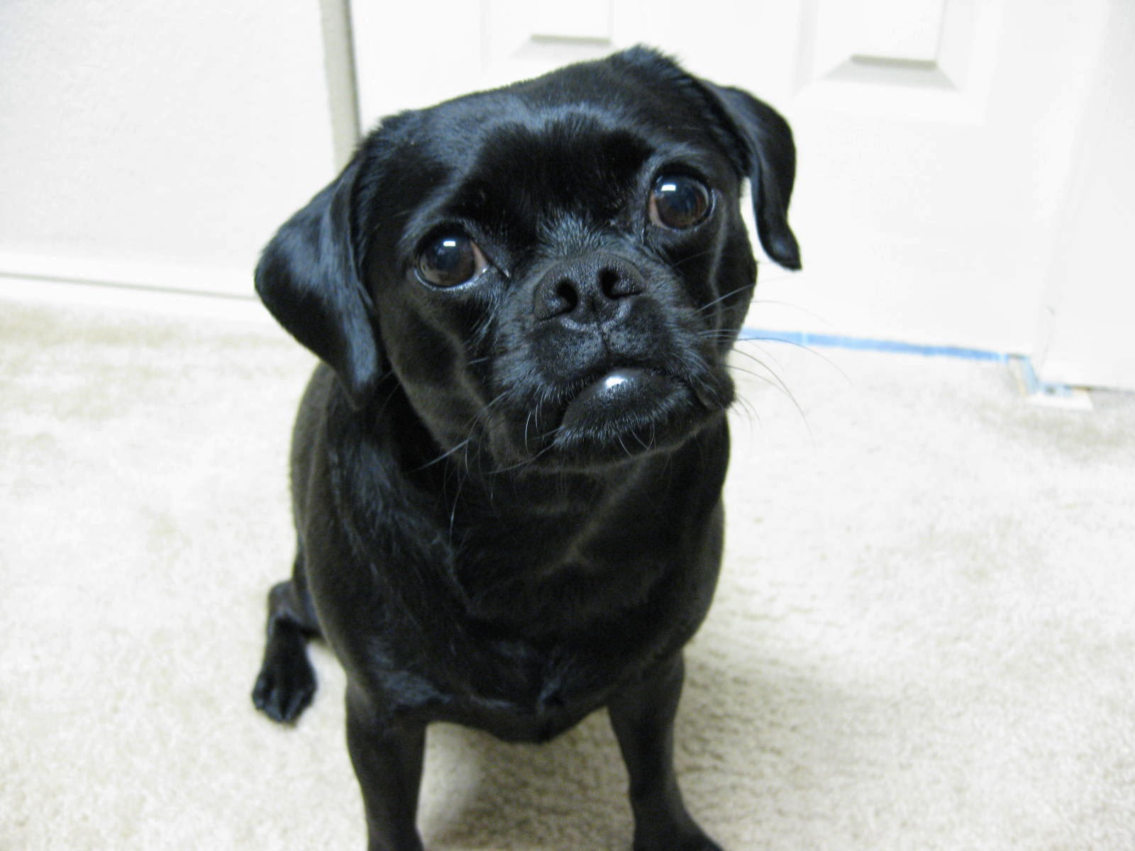 [CoCo+6-11-09+(9).JPG]