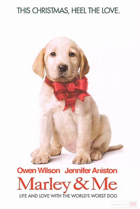 marley and me puppy years. this story just remind me of