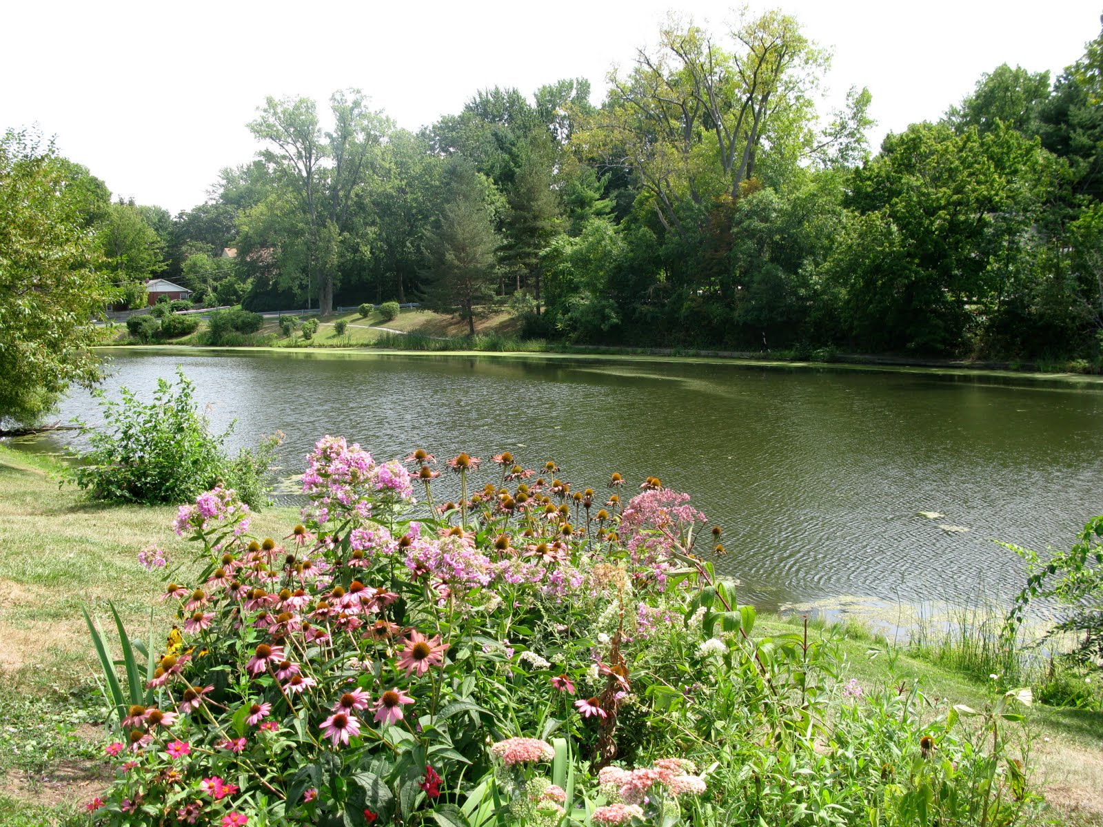 Kid Friendly Albany Buckingham Lake Park