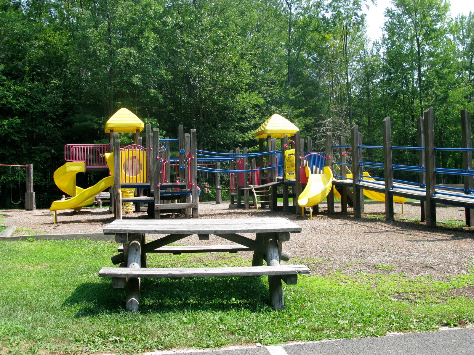 Kid Friendly Albany North Bethlehem Park