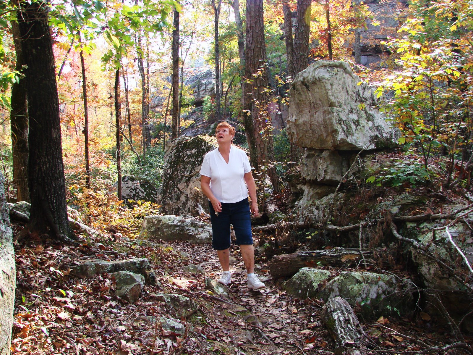 [petit+jean+084.JPG]