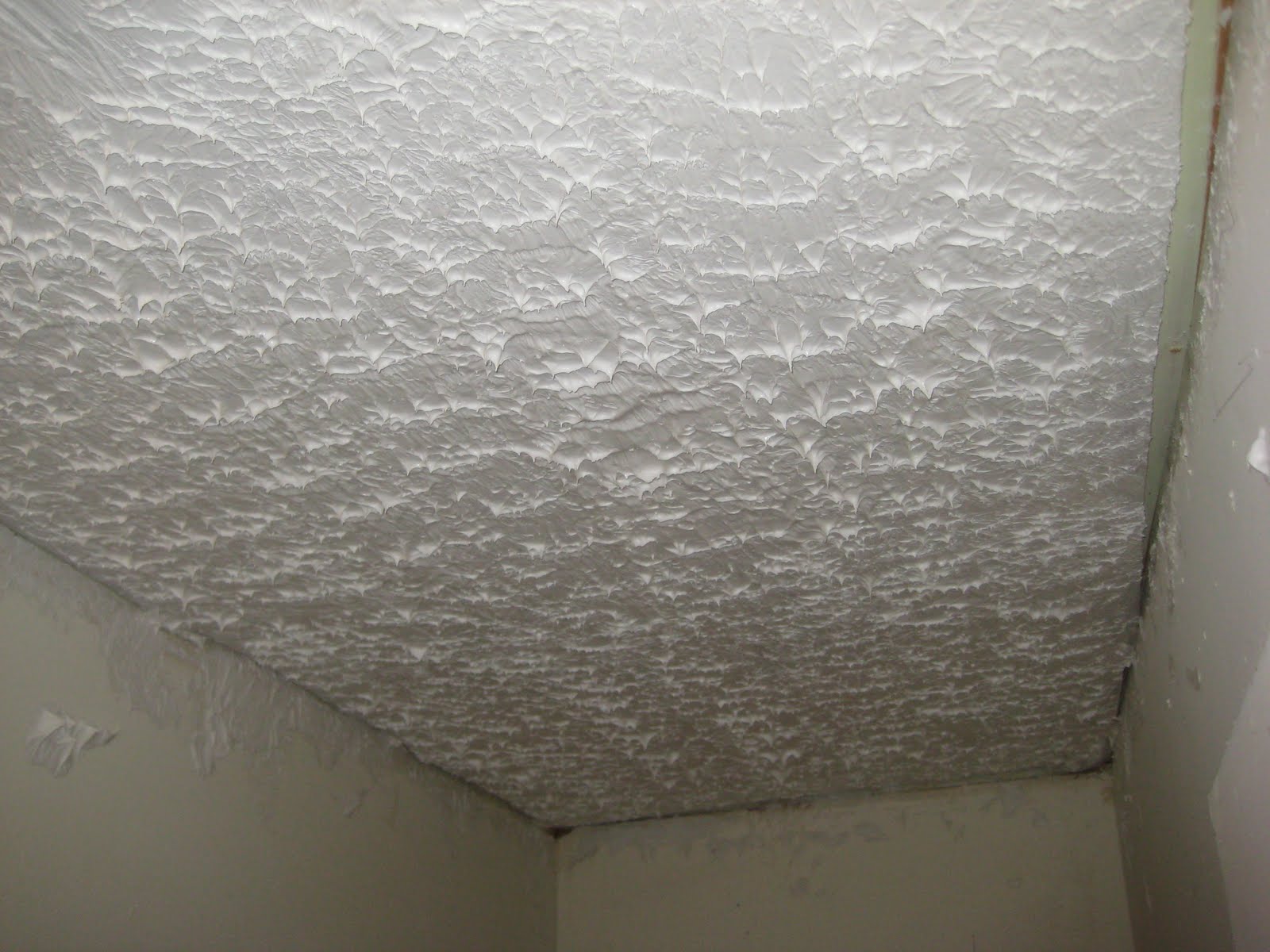 Craftsman Character Stipple Ceiling