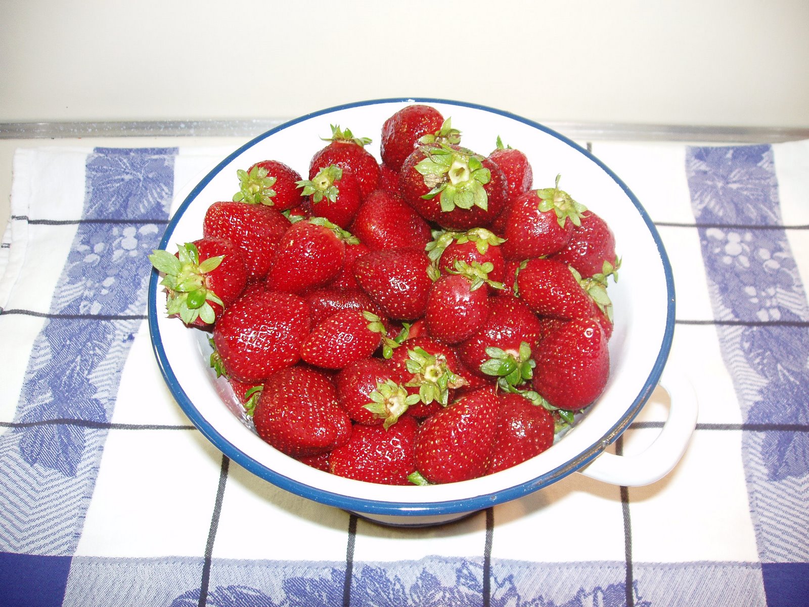 [P5190004.JPG]