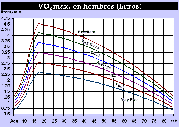 [vo2holitl.gif]