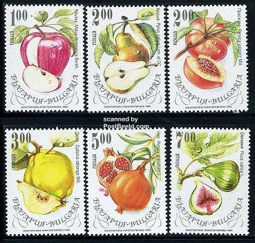 Tips on How to Get Started with Your Stamp Collection fruit stamps pictures