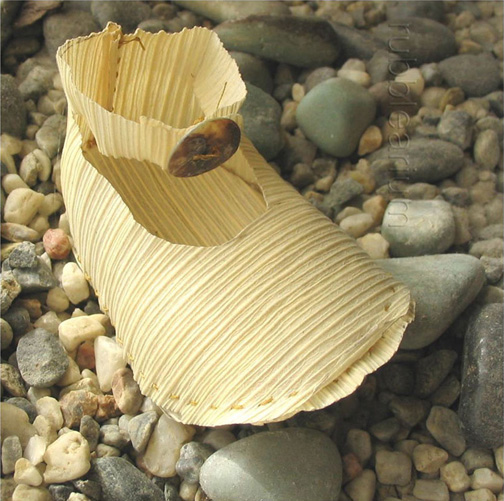 Stuff You Can't Have All My Little Shoes Edible