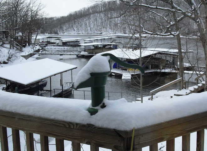 Snowy View