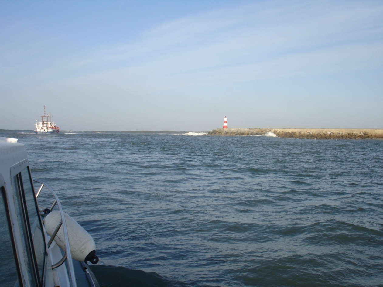 [DSC01263.JPG]