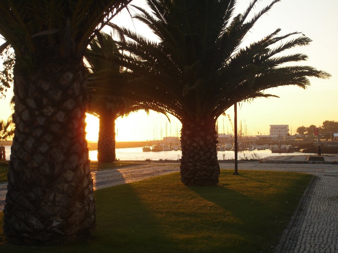 [DSC01696.JPG]