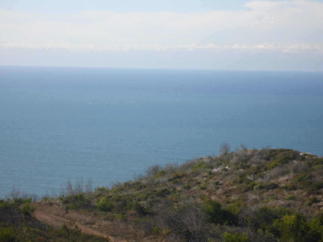 [DSC01740.JPG]