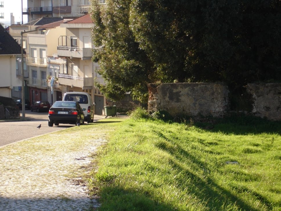 [DSC02573.JPG]