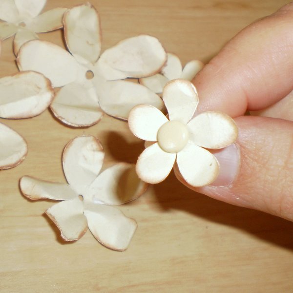 Beccy's Place Technique Class Open Roses